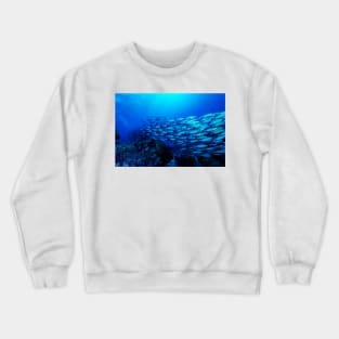 Tropical Fish on the Great Barrier Reef Crewneck Sweatshirt